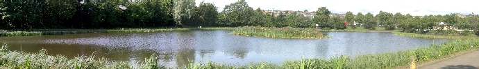 Bingham's Pond